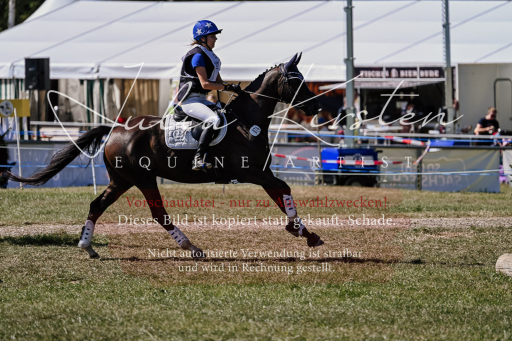 DSC_1690 | Pferde- und Turnierfotografie in Westsachsen. Pferdeportraits, Auftragszeichnungen und intuitive Kunst.
