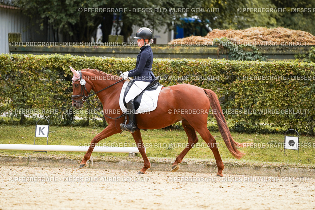 DSC09587 | Pferdegrafie