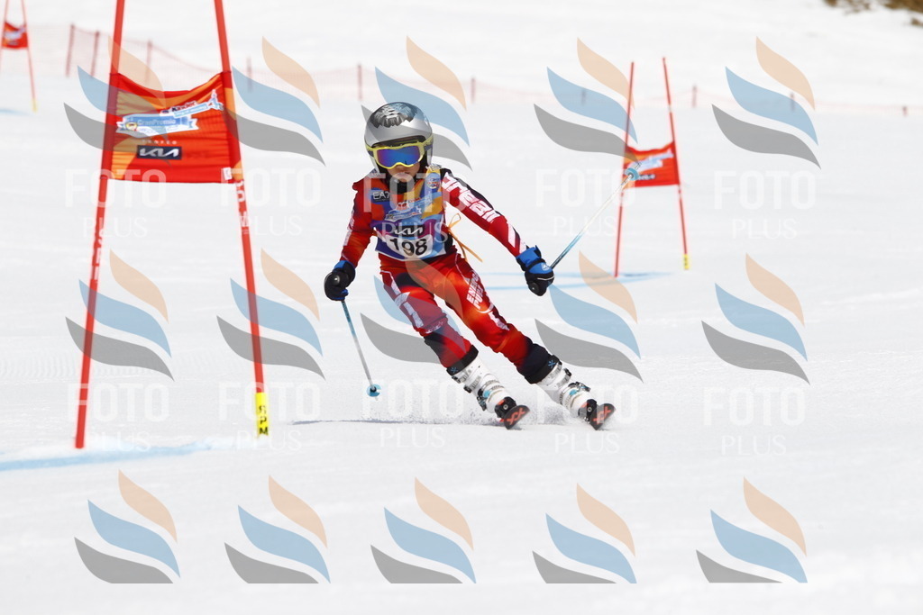 _U3G5161 | holidayphoto