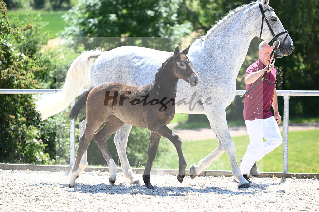 Kat-Nr. 16 SF Zinedine_Ruppert_16230492 | hf-fotografie - Realisiert mit Pictrs.com