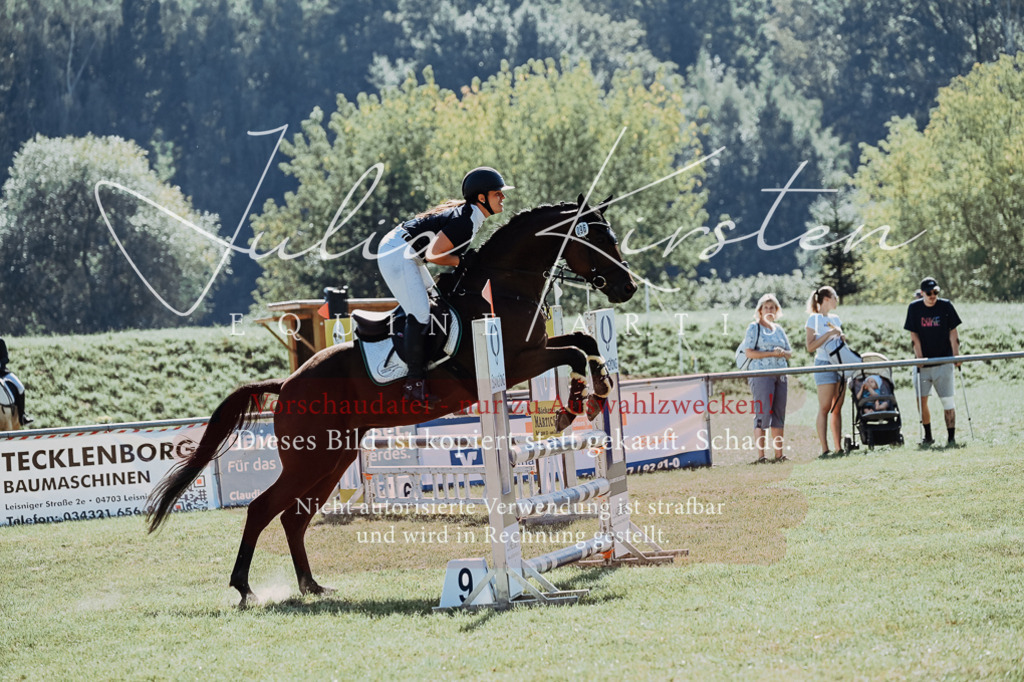 DSC_5721 | Pferde- und Turnierfotografie in Westsachsen. Pferdeportraits, Auftragszeichnungen und intuitive Kunst.