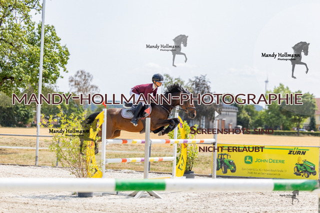 26-7-26 Pony SPR M+-11 | mandyhollmannphotographie