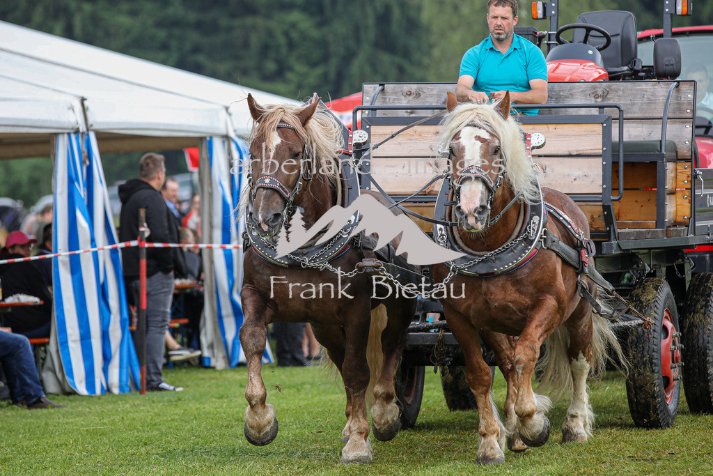 OE7A7154 | Medien- Sport- Entertainmentfotos