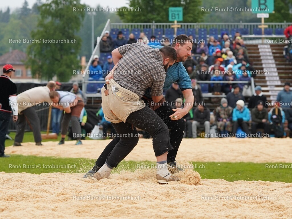 DSC05870 (2) | René Burch leidenschaftlicher Fotograf aus Kerns in Obwalden.  Hier finden sie Sport, Landschaft und Natur Fotografie.
 - Realisiert mit Pictrs.com