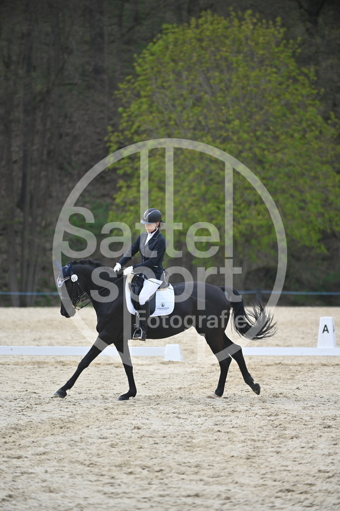 DSC_5271 | sattelsport - Realisiert mit Pictrs.com