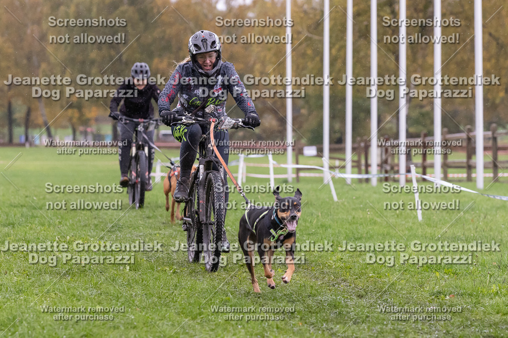 Dog Paparazzi - SD CaniX Championship 2025-943 | Dog Paparazzi Jeanette Grottendiek Fotografie & Videografie - Realisiert mit Pictrs.com