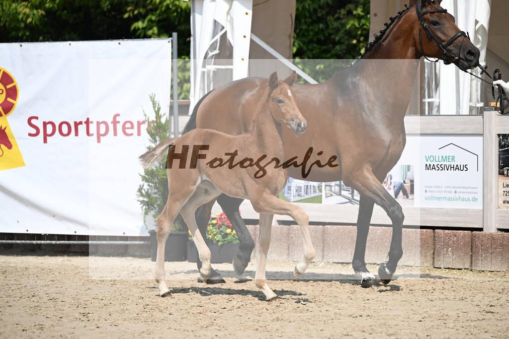 Veneno x Hotline _SF_Wiedemann_12250312 | hf-fotografie - Realisiert mit Pictrs.com