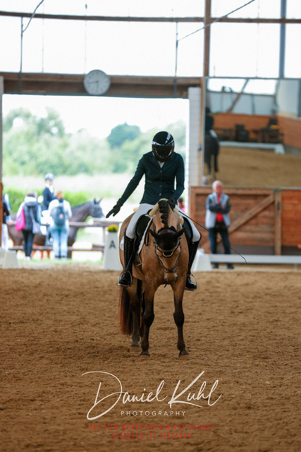 _62_6279 | Turniersportfotografie; Pferdefotografie; Dressurfotografie