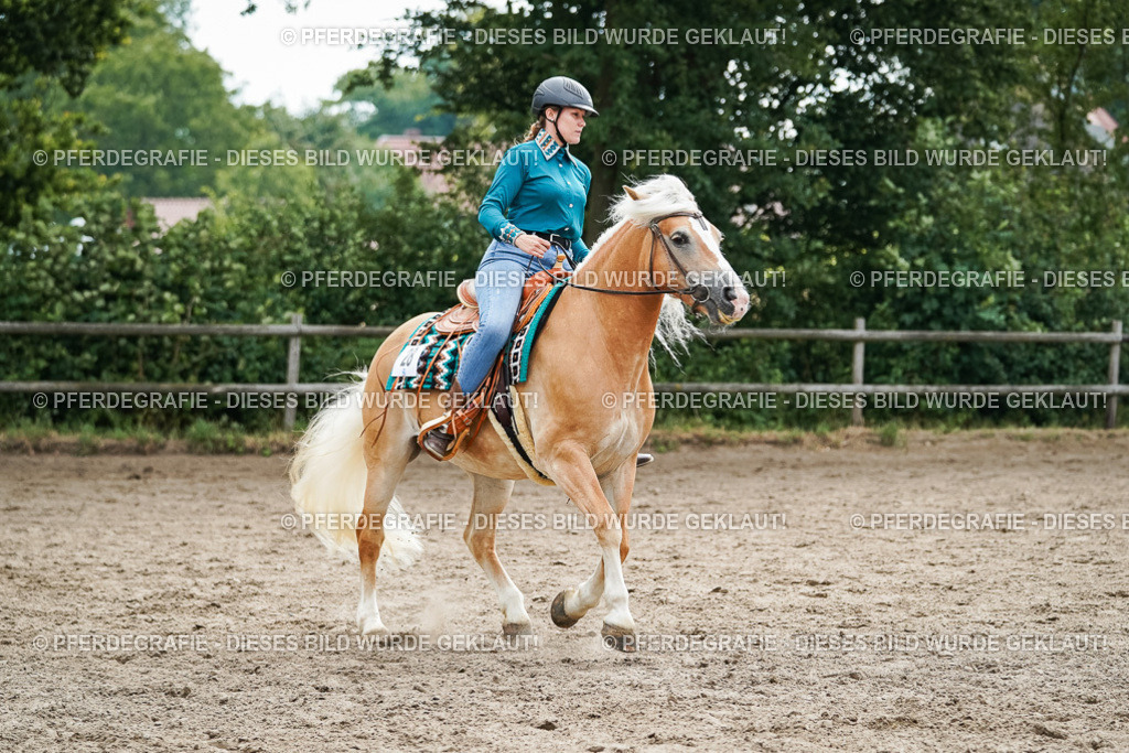 DSC04272 | Pferdegrafie