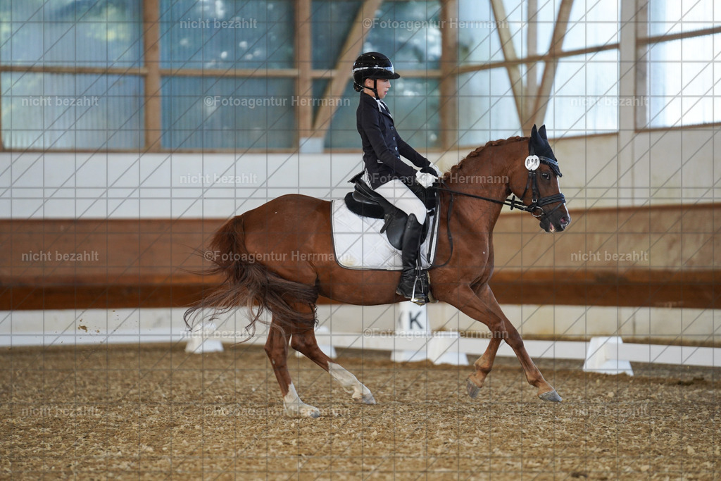 20240824-FAH07233 | Thierhaupten 2024, Bayerisches Landesponyturnier, Turnierbilder, Ponybilder, Turnierfotografen Bayern, Fotoagentur Herrmann