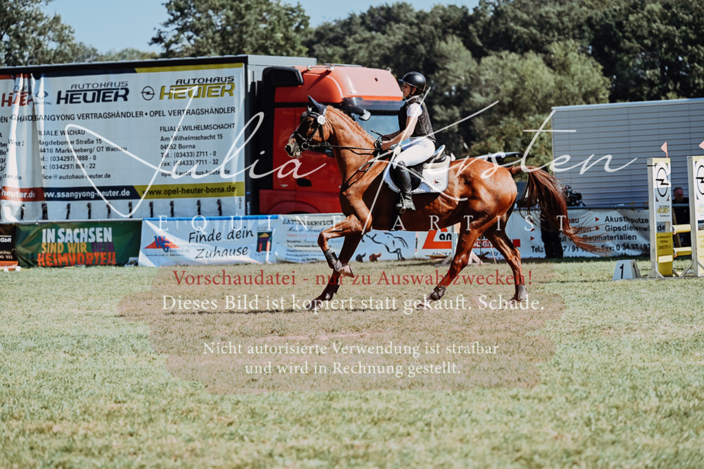 DSC_6707 | Pferde- und Turnierfotografie in Westsachsen. Pferdeportraits, Auftragszeichnungen und intuitive Kunst.