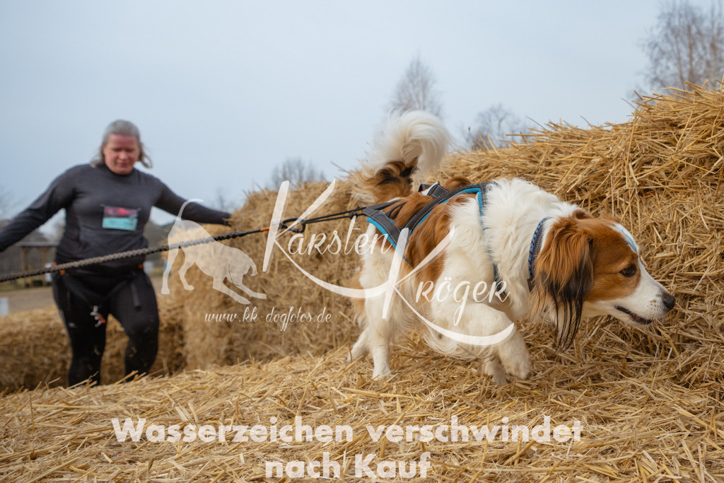 0915_ZZ97551 | kk-dogfotos