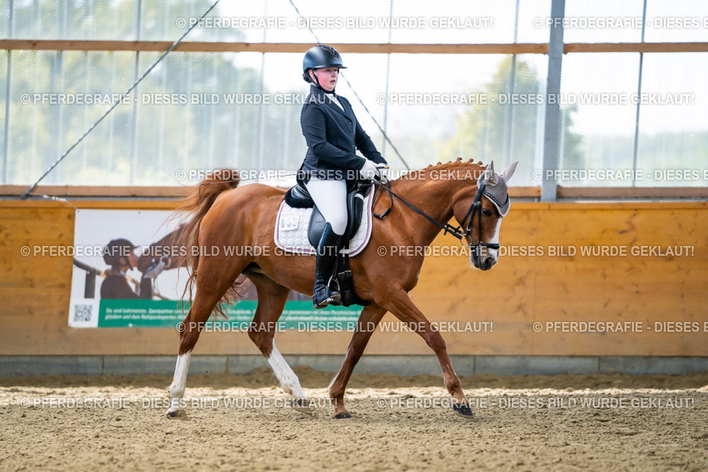 DSC05416 | Pferdegrafie