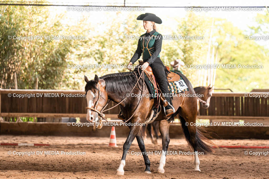 Erbach Tag 1-710 | dv-media-shop - Realisiert mit Pictrs.com