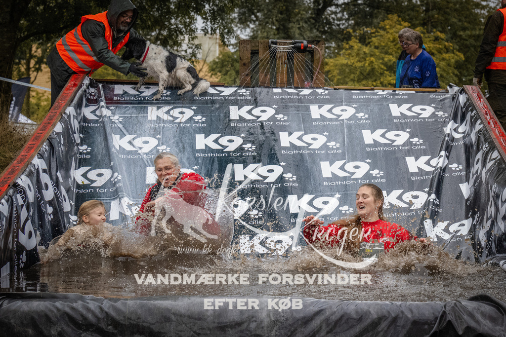 1151_ZZ93627 | kk-dogfotos