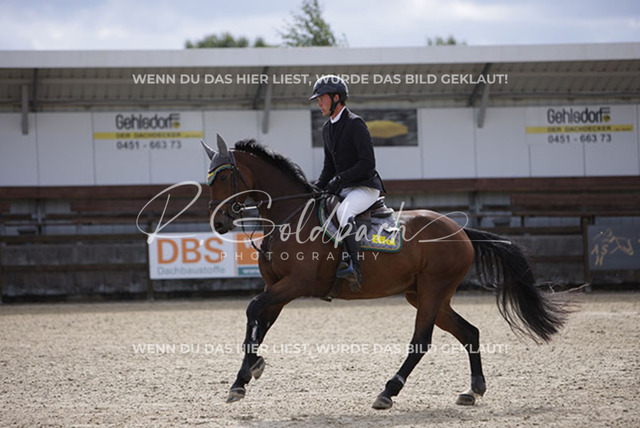 1J2A2462Philipp Battermann-Voss_ Claus 83_ Kn237_ Havekost | Foto- und Videografie für alles rund ums Pferd. Hochwertige Bilder und Videos vom Spring- und Dressurreiten, Voltigieren & mehr. Jetzt aktuelle Veranstaltungen und Preise im Shop ansehen. - Realisiert mit Pictrs.com