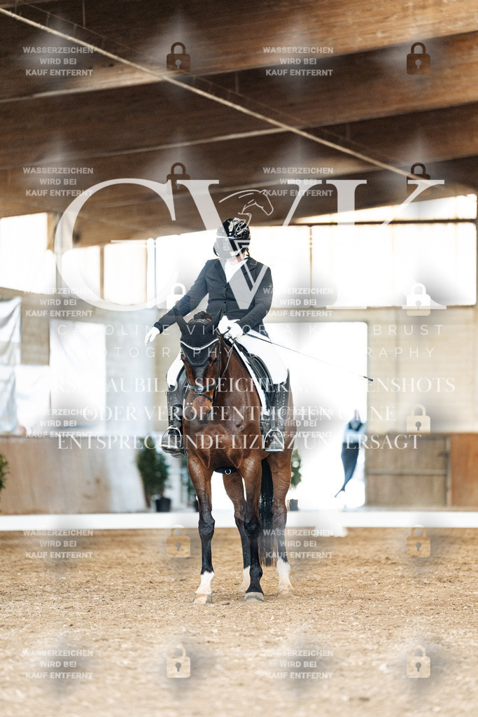 CK901578 | Turnierfotografie Pferdefotografie Trier Rheinland-Pfalz Pferdesport Reitsport Tierfotografie Sportfotografie Pferdevideo Pferdevideografie Equestrianvideography equestrianphotography  - Realisiert mit Pictrs.com