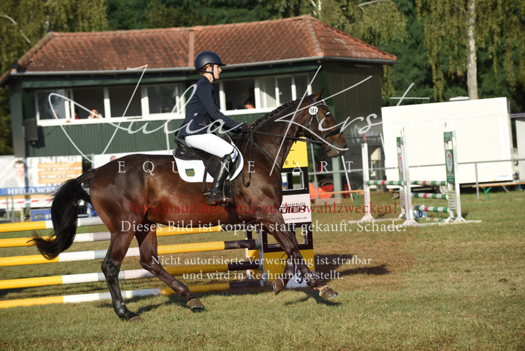 DSC_4880 | Pferde- und Turnierfotografie in Westsachsen. Pferdeportraits, Auftragszeichnungen und intuitive Kunst.