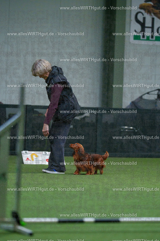 7R503647 | Professionelle Tierfotografie in Mönchengladbach von Daniel Wirth (allesWIRTHgut). Liebevolle & natürliche Bilder von Hunden & Katzen für unvergessliche Erinnerungen.