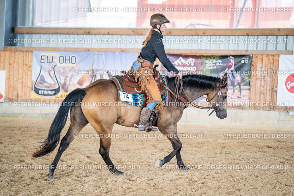 DSC03389 | Pferdegrafie