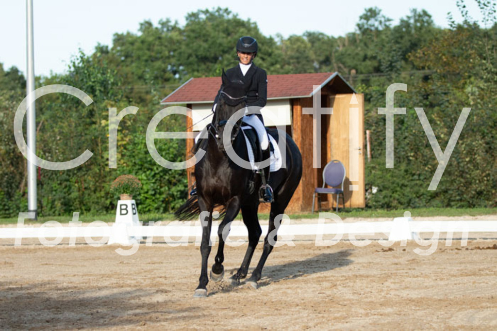 IMG_6034 | Creatify Fotografie