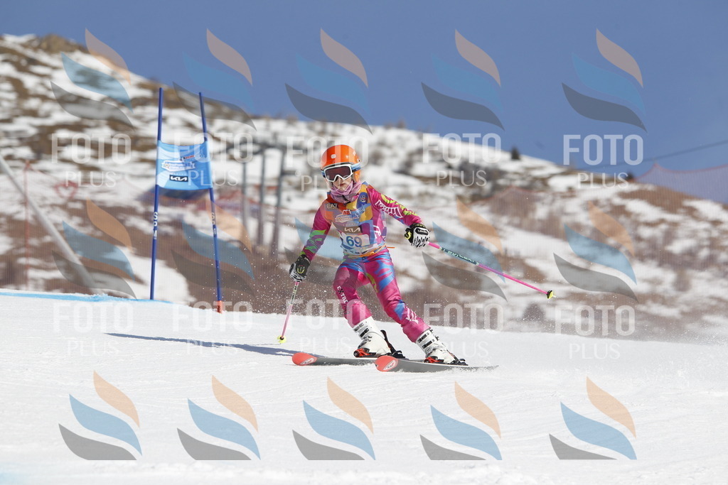 _U3G9796 | holidayphoto