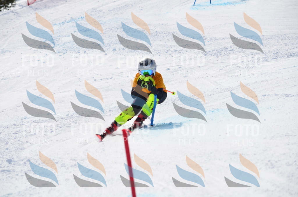 C9903 | holidayphoto