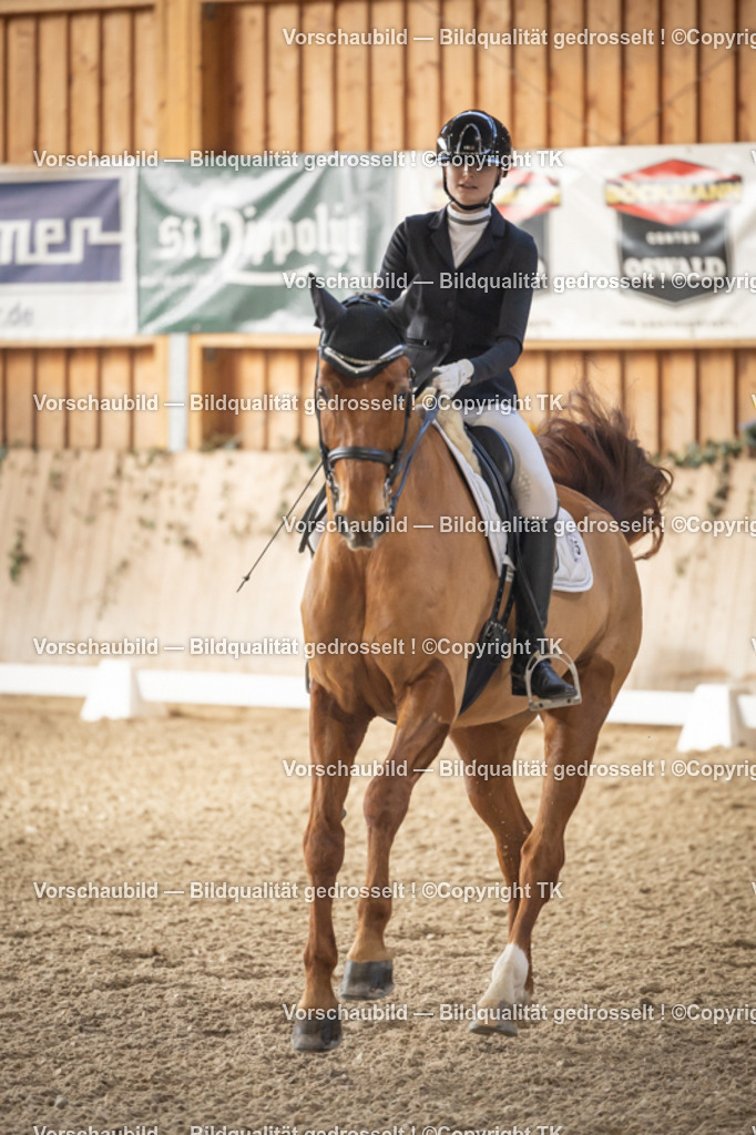 _D5A2831 | Emotionale Pferde- & People-Fotografie rund um Heidelberg, Leimen & Umgebung. Natürliche Fotos von Pferd, Mensch & Familie. Jetzt Termin sichern!