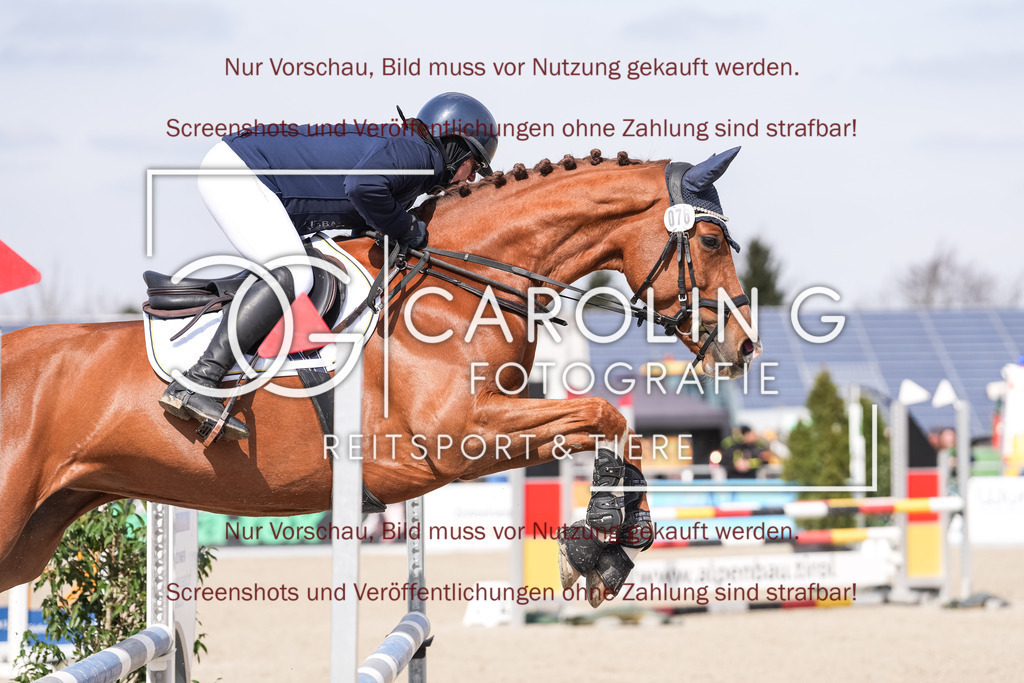 DSC05616 | Late_entry_Springturnier_Bad_Wurzach, Coloured_Cadou_G, Simone_Gall