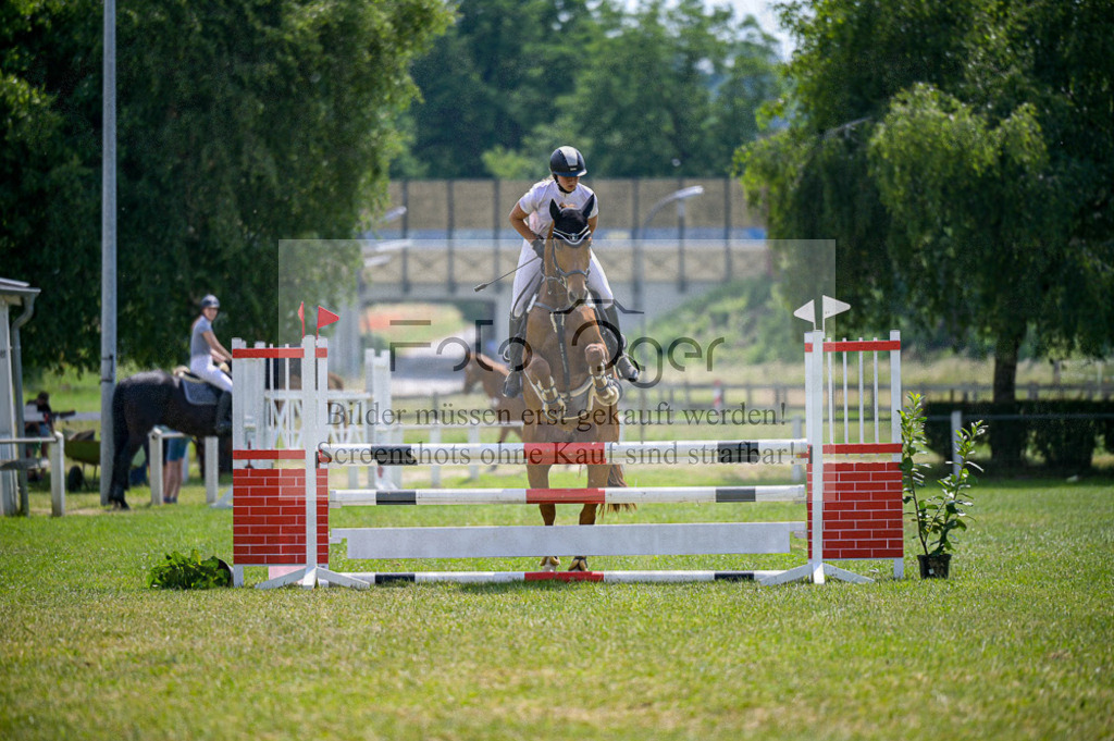 Reitturnier Voxtrup | Entdecke hochwertige Reitturnierfotos von Foto Oger. Professionell, emotional und authentisch – jetzt Lieblingsmomente im Shop bestellen.Deutschlandweite Turnierfotografie. - Realisiert mit Pictrs.com