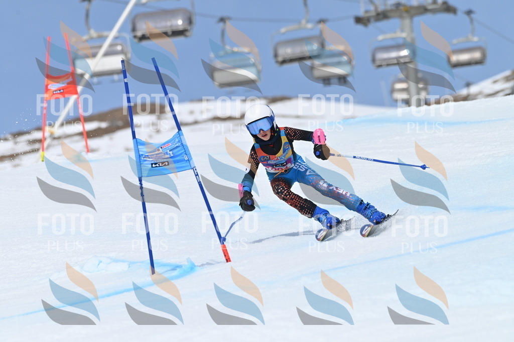 BGV_2628 | holidayphoto