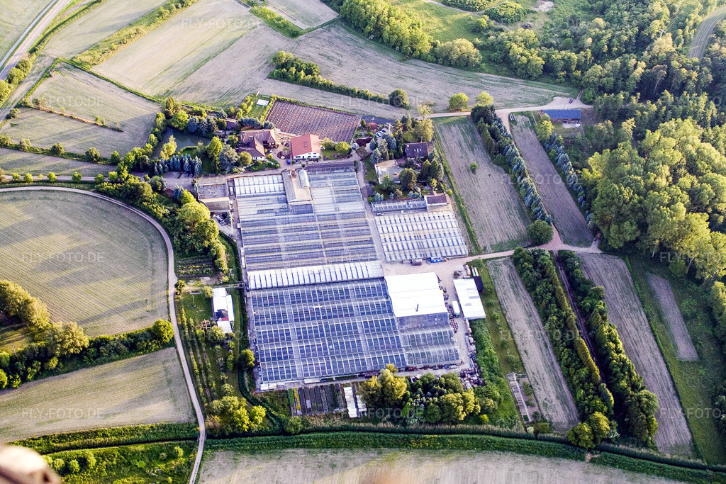 Luftbild: Geraniengärtnerei in Hagenbach im Bundesland Rheinland-Pfalz in Deutschland. Foto: IMG_2615.jpg vom 09.06.2006 durch Werner Riehm/FLY-FOTO.de