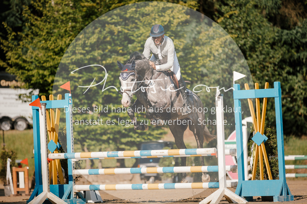 3I6A6305 | Stimmungsvolle Portraits und Reitsportfotografie im Ruhrgebiet und im Münsterland.

Pferdefotografie, Hundefotografie, Tierfotografie, Reportagen, Portraits von Tier und Mensch, Turnierfotografie in Bochum, Recklinghausen, Marl, Haltern am See, Dülmen.. - Realisiert mit Pictrs.com