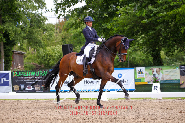 DKP41442 | Deine Turnierfotos vom Reitturnier online kaufen: Dressur, Springen & Siegerehrung. Professionelle Pferdefotografie aus dem Rheinland – als Download & Print.Alternative: Turnierfotograf für den Pferdesport: Finde deine Fotos von Dressur- und Springturnier