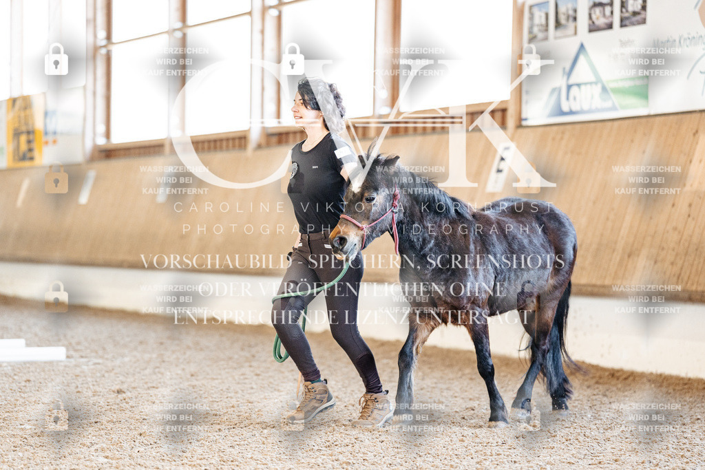 CK905187 | Turnierfotografie Pferdefotografie Trier Rheinland-Pfalz Pferdesport Reitsport Tierfotografie Sportfotografie Pferdevideo Pferdevideografie Equestrianvideography equestrianphotography  - Realisiert mit Pictrs.com