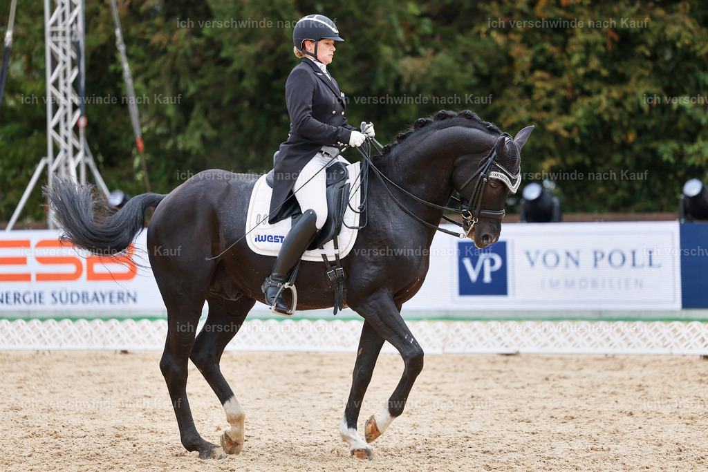 07-093-DRESSUR  S___  -StoibPH-5036 | working equitationturnier fotograf videograf stoibphotography marixx film working equitation deutschland reitsport turnierfotografie eventfotografie equestrian events