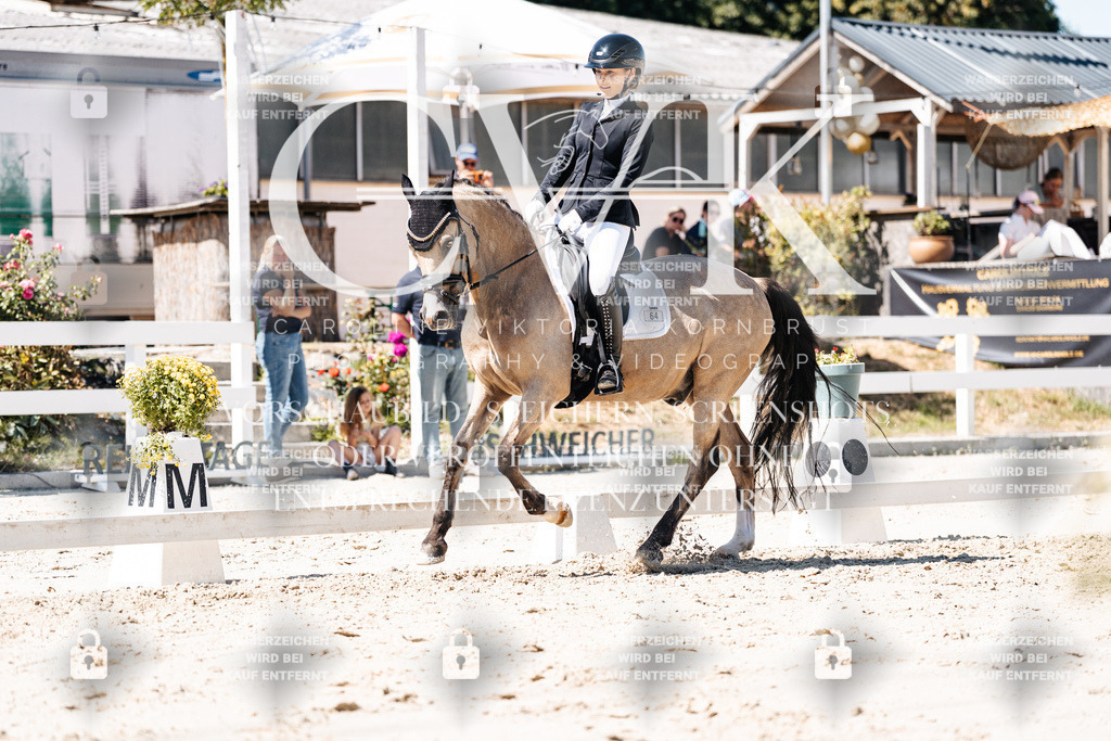 CK909927 | Turnierfotografie Pferdefotografie Trier Rheinland-Pfalz Pferdesport Reitsport Tierfotografie Sportfotografie Pferdevideo Pferdevideografie Equestrianvideography equestrianphotography  - Realisiert mit Pictrs.com