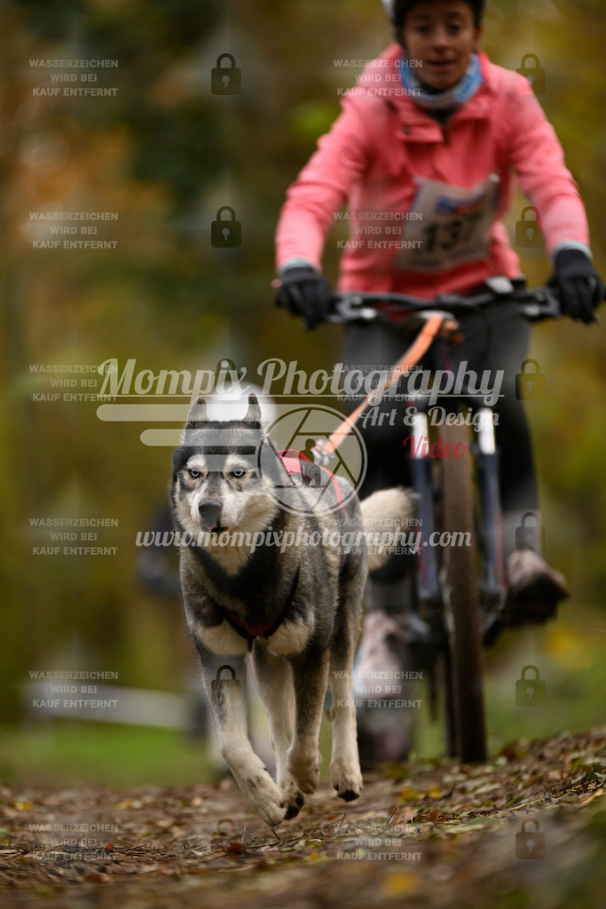 MompixPhotography_Bischwiller24_SA_VTT-79 | PayLife