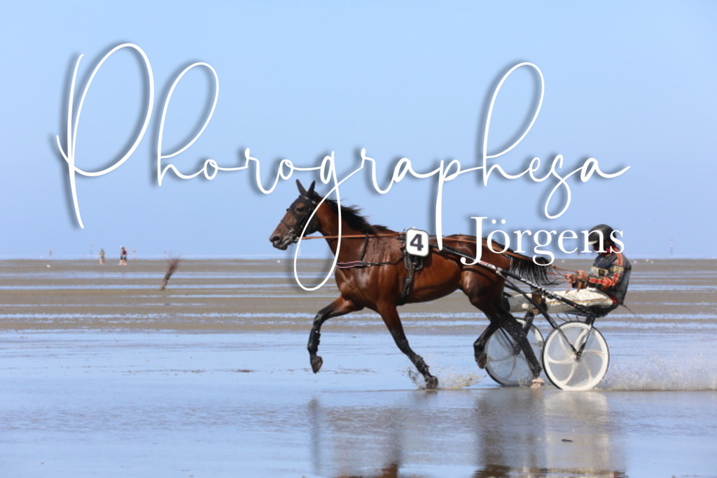 IMG_9512 | photographesa-joergens - Realisiert mit Pictrs.com