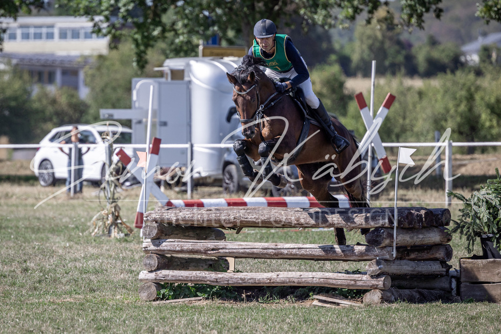 20260906-_3LI4940 | Tierfotografie Pferde, Hunde, Katzen, Haustiere.
Turnierfotografie Reitturniere, Reiten, Springreiten, Dressur in Hanau, dem Main-Kinzig-Kreis und dem Rhein-Main- Gebiet um Frankfurt