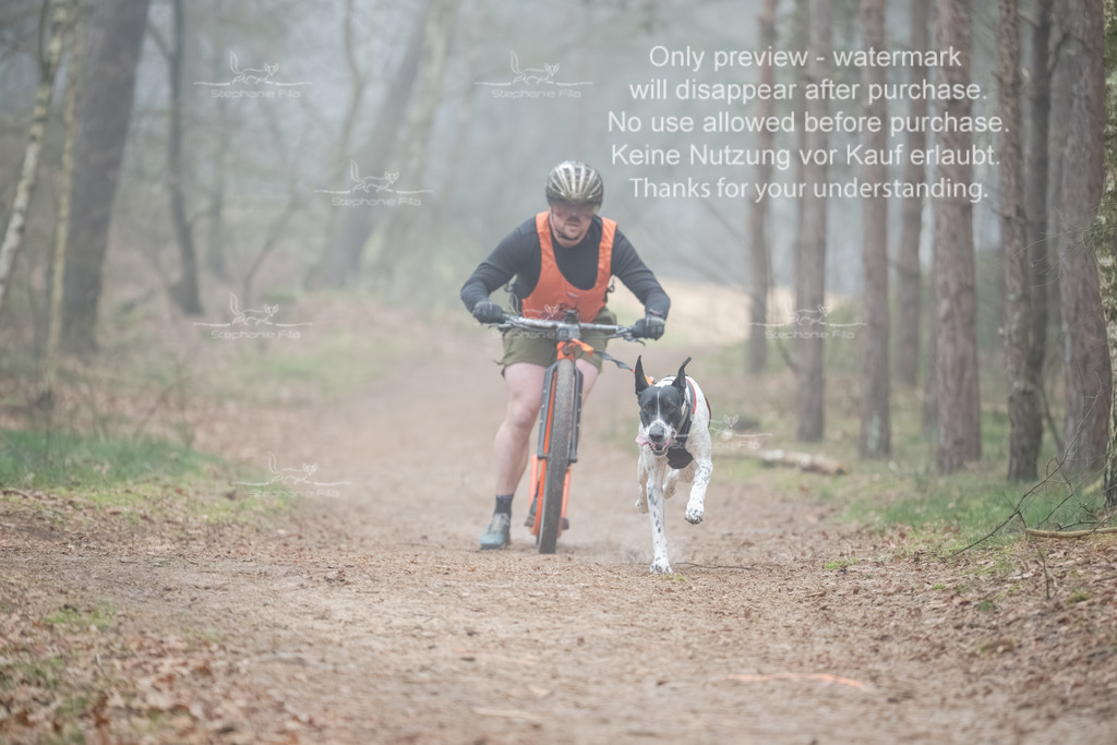 Scooter1-99 | stephaniefillaphotographie - Realisiert mit Pictrs.com