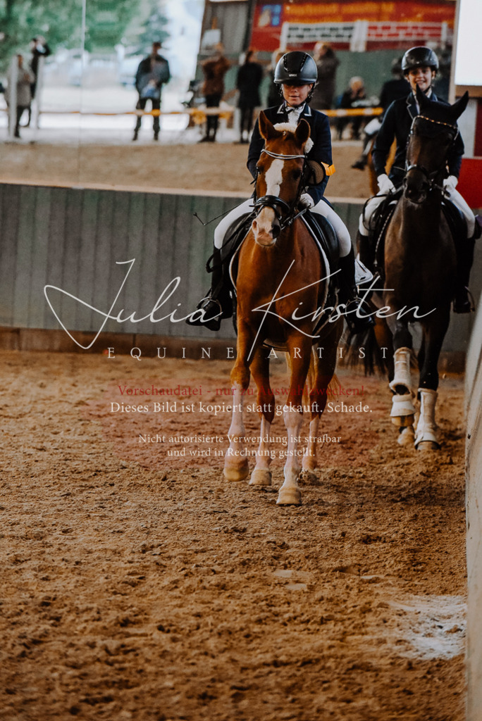 DSC_7741 | Pferde- und Turnierfotografie in Westsachsen. Pferdeportraits, Auftragszeichnungen und intuitive Kunst.