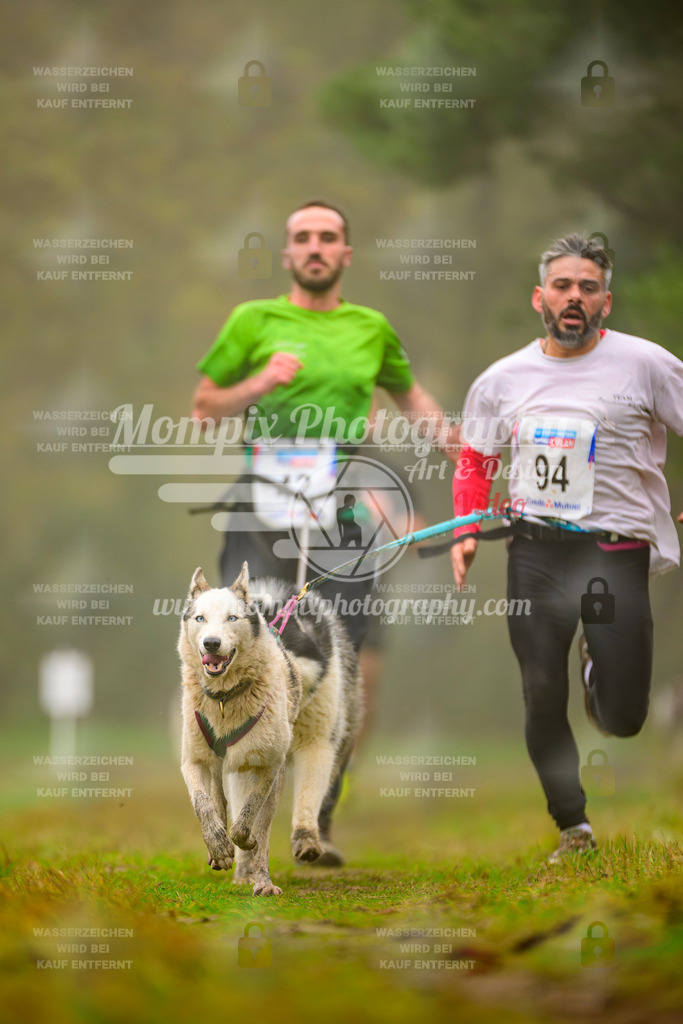 MompixPhotography_Bischwiller2025_Canicross-50 | mompixphotography