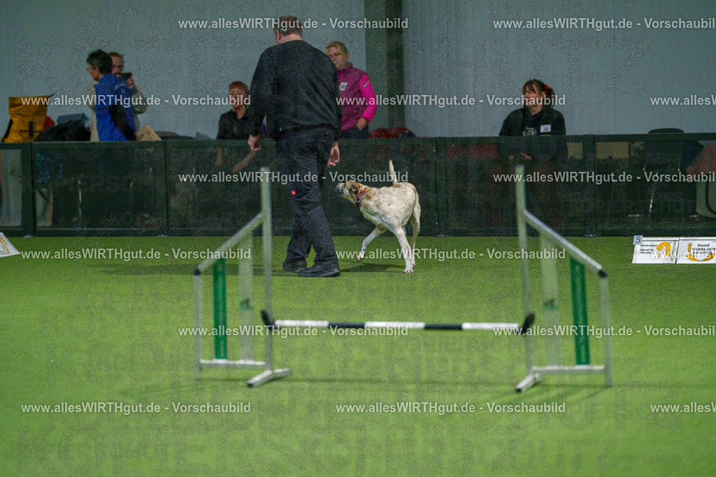 7R505306 | Professionelle Tierfotografie in Mönchengladbach von Daniel Wirth (allesWIRTHgut). Liebevolle & natürliche Bilder von Hunden & Katzen für unvergessliche Erinnerungen.
