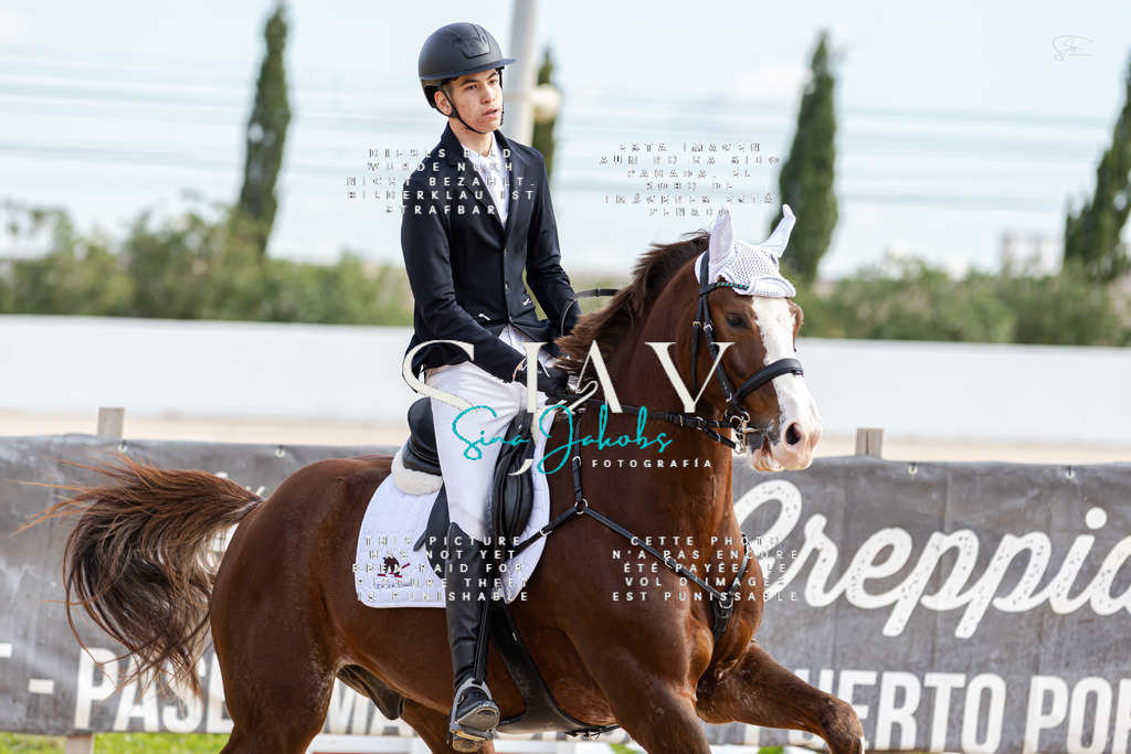 IMG_3048 | s-jay-photography - Realisiert mit Pictrs.com