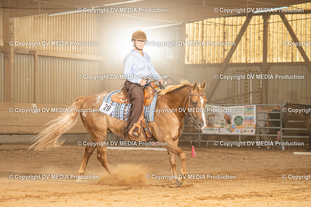 NID03049 | dv-media-shop - Realisiert mit Pictrs.com