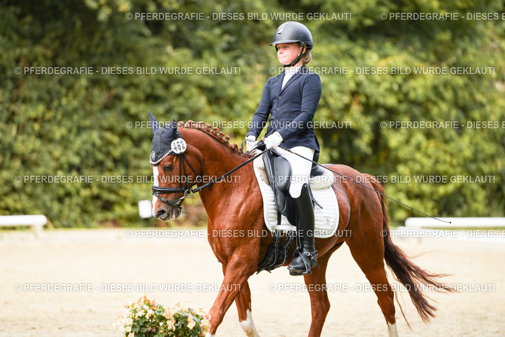 DSC03851 | Pferdegrafie