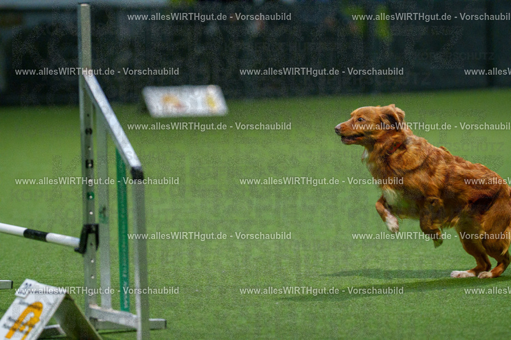 7R509647 | Professionelle Tierfotografie in Mönchengladbach von Daniel Wirth (allesWIRTHgut). Liebevolle & natürliche Bilder von Hunden & Katzen für unvergessliche Erinnerungen.