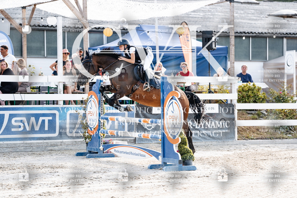 CK906194 | Turnierfotografie Pferdefotografie Trier Rheinland-Pfalz Pferdesport Reitsport Tierfotografie Sportfotografie Pferdevideo Pferdevideografie Equestrianvideography equestrianphotography  - Realisiert mit Pictrs.com