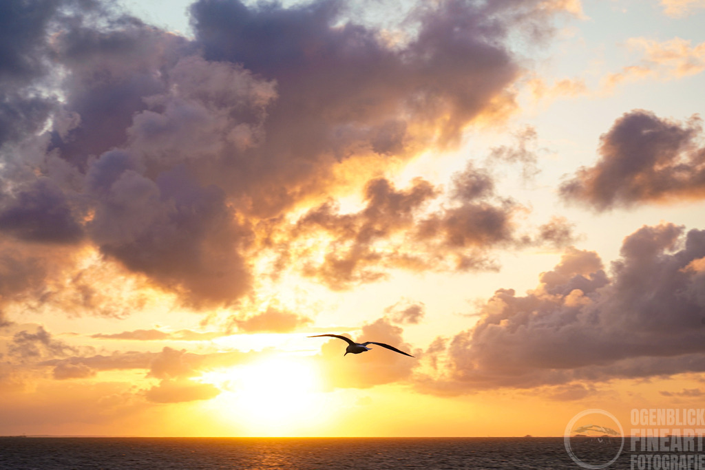 A7R01548 | Björn Thiemann; Ogenblick.de; Fotografie; Photograph; Landscape, Pellworm, Schleswig-Holstein; Inselfotograf; Inselfotografien; Wattenmeer; National-Park; Naturschutzgebiet; Leuchtturm; Lighthouse; Leinwandbilder; Kalender; Pellworm Kalender;  - Realisiert mit Pictrs.com